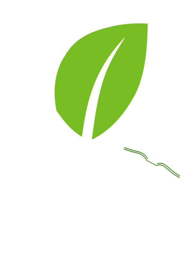 Liceo Los Cabos